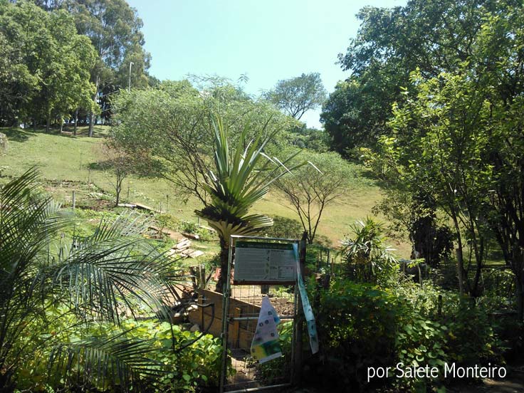 Horta das Corujas na Vila Beatriz Visão geral da Horta das Corujas e da Praça das Corujas