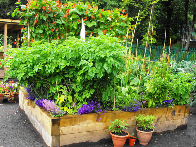 Incredible Edible Todmorden Horta urbana na cidade inglesa de Todmorden