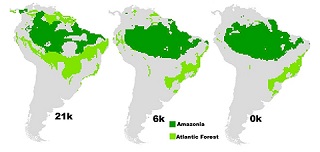 imagem: Acta Oecologica